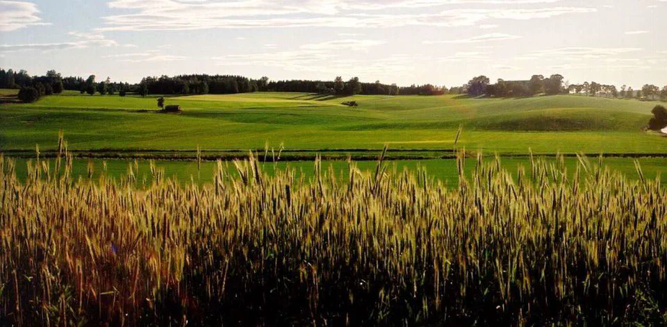 DRAINMOD Modeling for Norwegian Agricultural Catchments